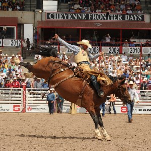 chad ferley