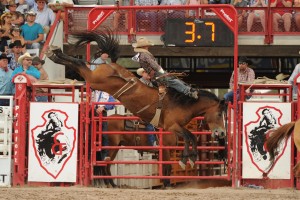 will at cheyenne