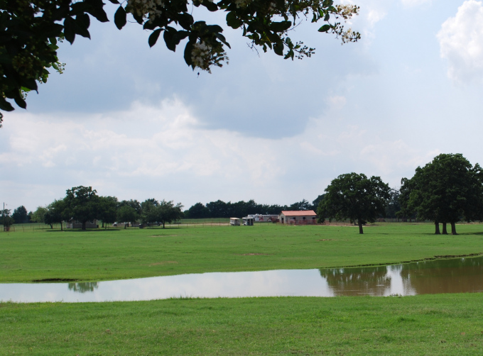 One can certainly enjoy the beauty of a Texas ranch while visiting Pete Carr’s property.