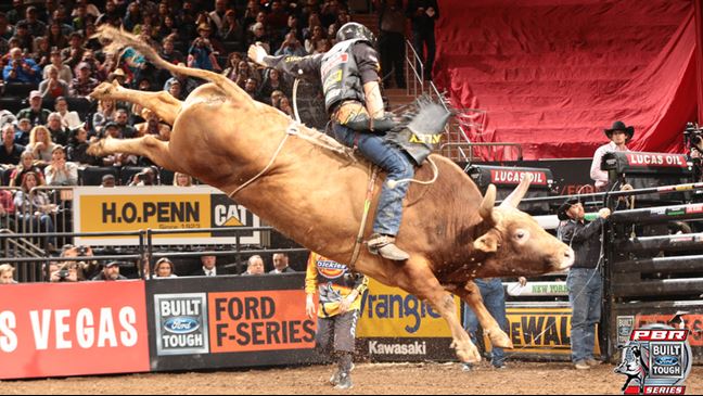 Silvano Alves puts together a gutsy ride on Percolator for 82.5 points. Photo By: Andy Watson/BullStockMedia.com