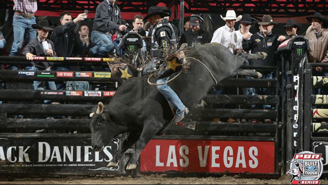 Bruiser was marked 46.25 points on Saturday against Valdiron de Oliveira.