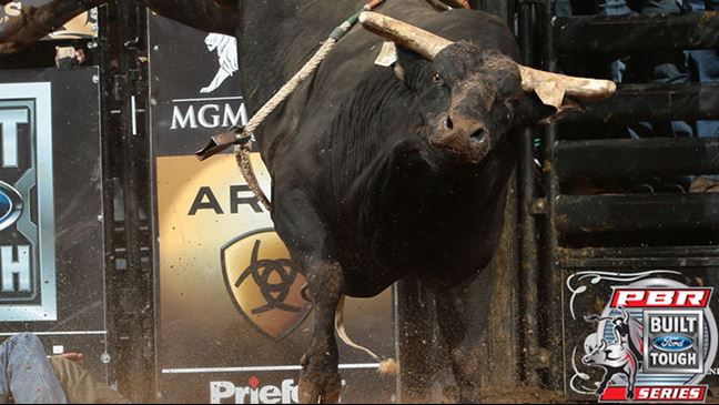 Crossfire will be among the bulls coming to California off a strong performance in Oklahoma City.