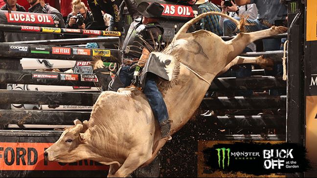 Robson Palermo rides Alligator Arms for 87 points. Photo by Andy Watson / BullStockMedia.com.