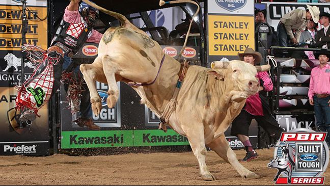 Roy is making his 2016 season debut in Anaheim, Calif. Photo by Andy Watson / BullStockMedia.com.