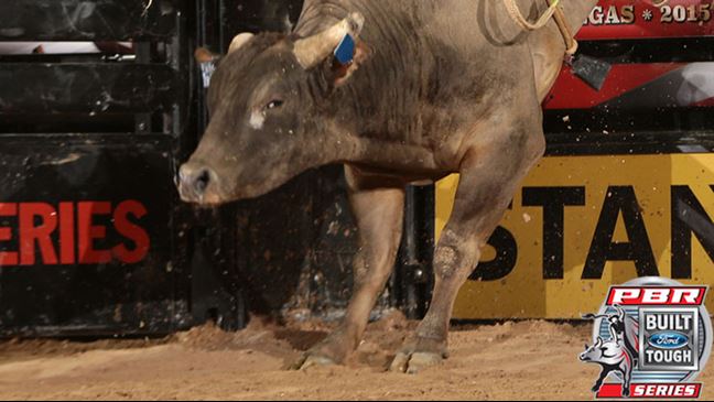 Long John makes his season-debut this weekend in Oklahoma City. Photo by Andy Watson / BullStockMedia.com.