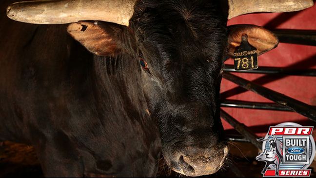 Asteroid dumped Joao Ricardo Vieira in 2.9 seconds in St. Louis. Photo by Andy Watson / BullStockMedia.com.