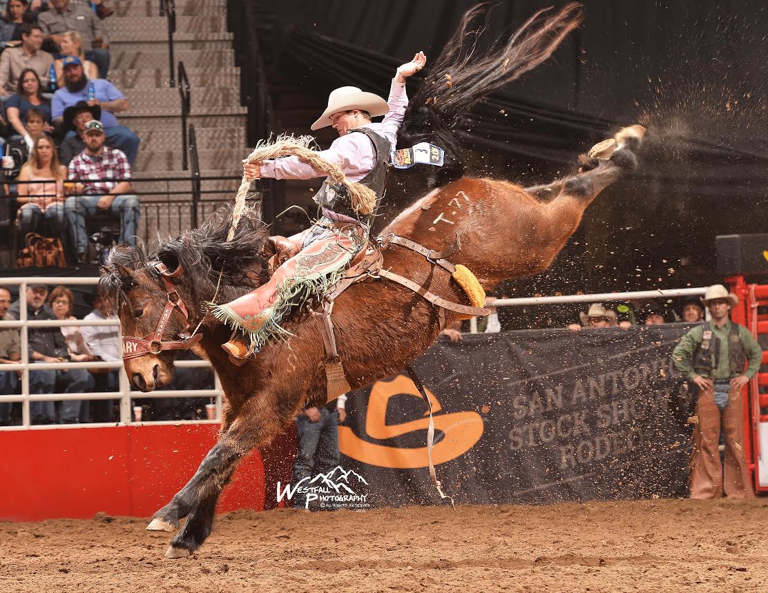 CoBurn Bradshaw from Beaver, Utah is the big money winner at the San Antonio Stock Show Rodeo so far. He won the third round of bracket 4 on Calgary Stampede’s Tokyo Bubbles and $2,281 bringing his total to $6,273. – San Antonio Stock Show Rodeo photo by Greg Westfall.