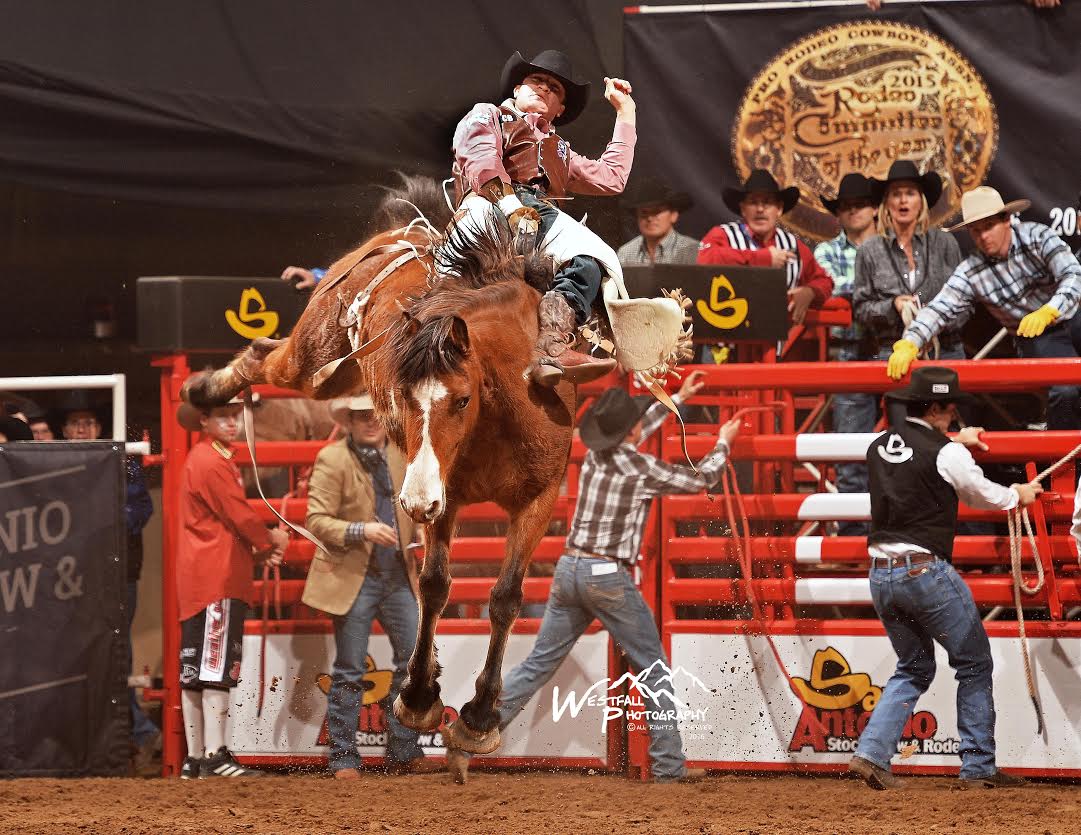 Jake Brown from Hillsboro, Texas is the high money earner in bracket 3 so far after winning the second round with this 83.5-point effort on Harry Vold Rodeo’s Spicy Chicken. Brown tied for the win in the first round and has a total of $4,277 with one more round to go. – San Antonio Stock Show Rodeo photos by Greg Westfall.