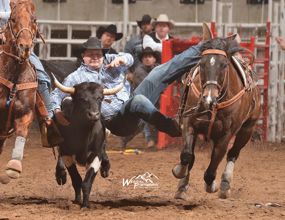 Clayton Moore from Pouce Coupe, British Columbia finished atop the steer wrestling leaderboard on Friday with this 4.5-second run. – San Antonio Stock Show Rodeo photo by Greg Westfall.