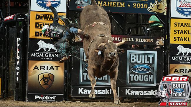 Long John was one bull who impressed in Anaheim, California, and will buck this weekend in Sacramento.