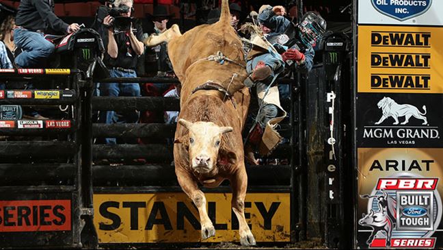 Brutus will buck in this weekend's 15/15 Bucking Battle in Kansas City, Missouri.