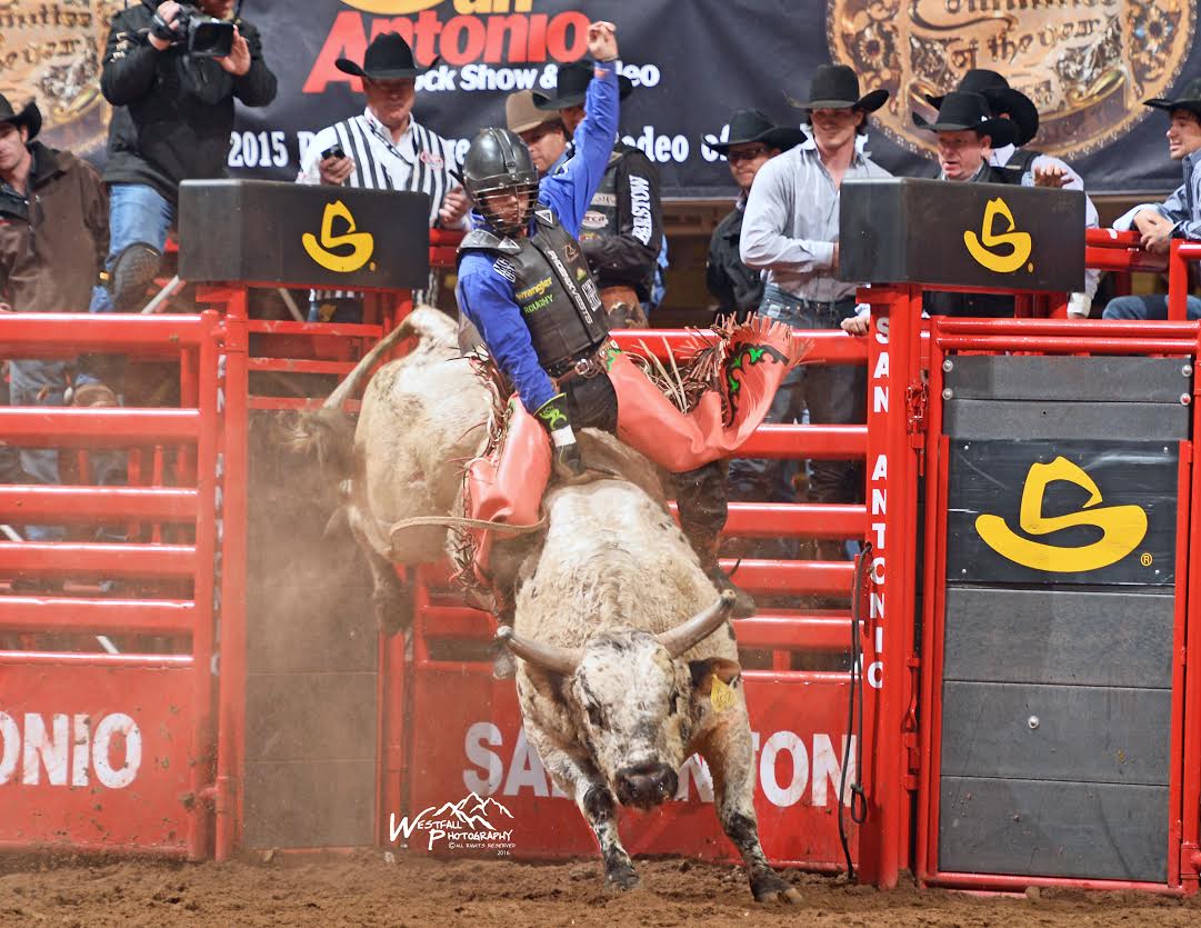 Bull Rider Sage Kimzey’s success at the San Antonio Stock Show Rodeo continued in semifinals 1 on Tuesday night. He scored 84 points on Four L and Diamond S Rodeo’s bull named Redneck to win the round. The reigning world champion has won nearly $8,000 here so far this year. – San Antonio Stock Show Rodeo photo by Greg Westfall.