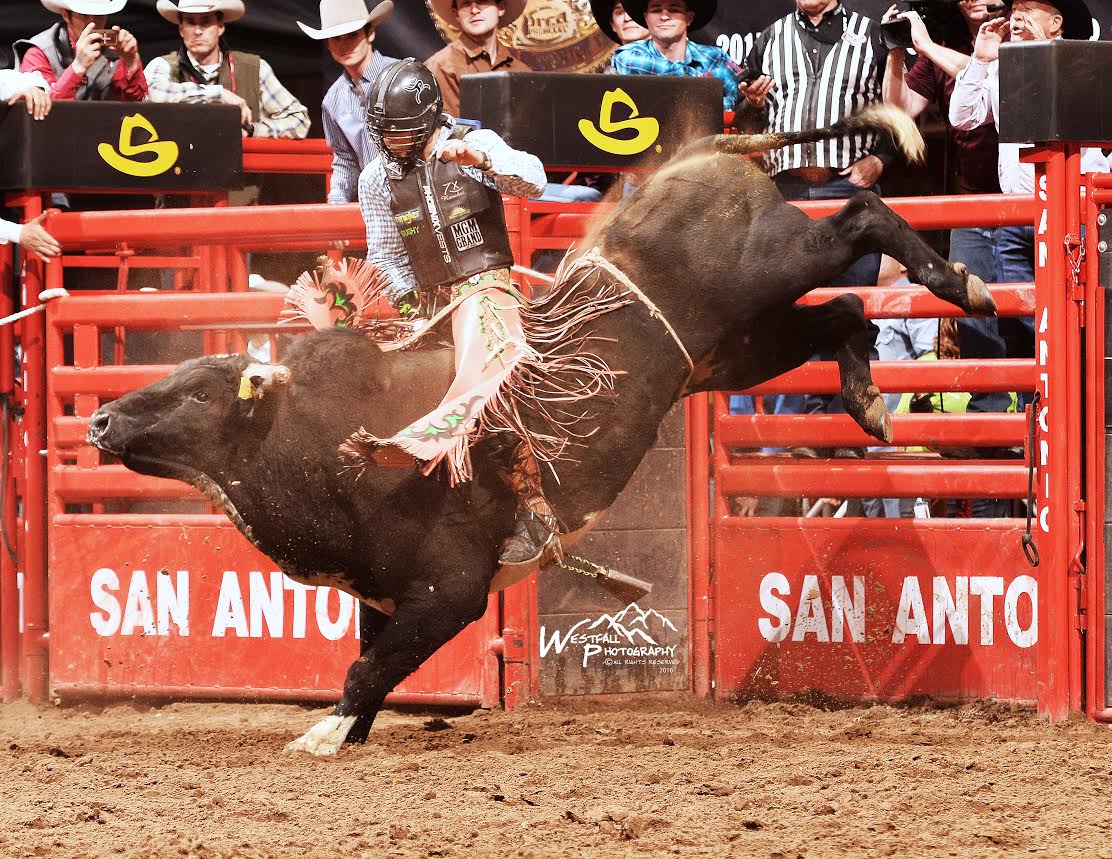 Sage Kimzey was the big money winner at this year’s San Antonio Stock Show Rodeo and has earned the championship two out of the last three years. He won the 2016 title with this 89 point ride on Andrews Rodeo’s Speckled Buck and earned a total of $26,736 in the AT&T Center. – San Antonio Stock Show Rodeo photo by Greg Westfall.