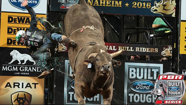 Sweet Pro's Long John has been averaging 44.83 per out but last bucked in Sacramento, California. (Photo: Andy Watson/Bull Stock Media)