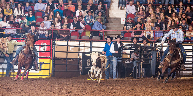 Justin Davis, left, and Spencer Mitchell put their wraps on the San Angelo Stock Show and Rodeo team roping title. The two Californians have roped together on and off all their lives, and they are excited to pick up this win together. (PHOTO BY TODD BREWER)