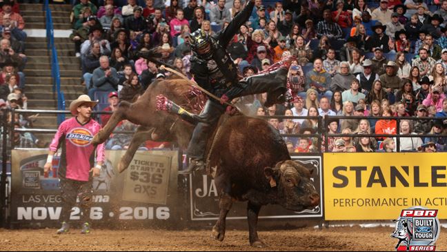 Shane Proctor flashes up Cooper Tires Brown Sugar for 89 points. Photo By: Andy Watson/BullStockMedia.com