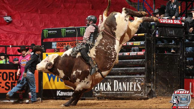 Nevada Newman sticks it out on Mississippi Hippy for 87.75 points. Photo By: Andy Watson/BullStockMedia.com