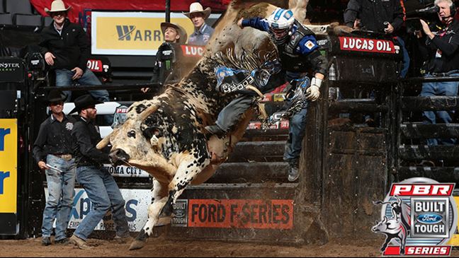 Air Time is owned by Carolina Panthers defensive end Jared Allen. Photo by Andy Watson / BullStockMedia.com.