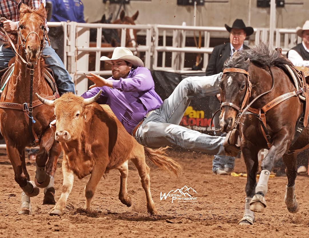 Jason Thomas got money in both rounds of steer wrestling in semifinals 1 at the San Antonio Stock Show Rodeo. Thomas won the second round with this 4.3 second run. – San Antonio Stock Show Rodeo photo by Greg Westfall.