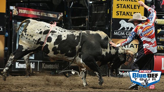 Cody Webster is the backup bullfighter for the Built Ford Tough Series. Photo by Andy Watson / BullStockMedia.com.