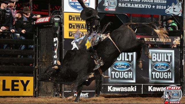 Stormy Wing is the leader of the pack at intermission of Round 1 with 88 points on Legacy. Photo By: Andy Watson/BullStockMedia.com
