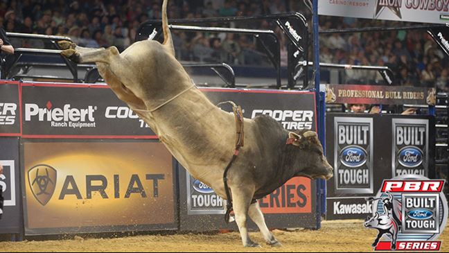 SweetPro's Bruiser returns after a strong showing in Duluth, Georgia last week. Photo: Andy Watson/BullStockMedia.com