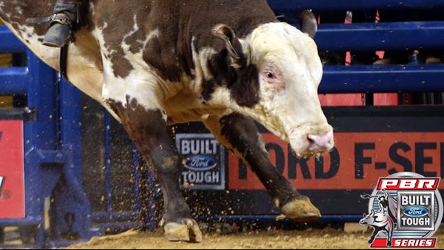 Mississippi Hippy retires following four-plus years of service on the BFTS. Photo by: Andy Watson/BullStockMedia.com
