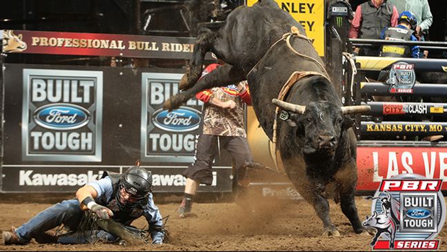 Shaft was 25-3 in his BFTS career. Photo: Andy Watson/BullStockMedia.com