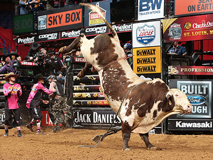 Mississippi Hippy was ridden three times on the BFTS. Photo by Andy Watson / BullStockMedia.com.