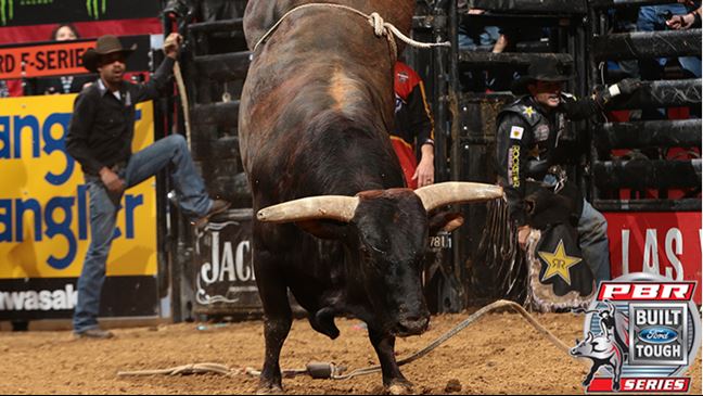 Saturday night will be Asteroid's fourth BFTS apperance of the season. Photo: Andy Watson/BullStockMedia.com