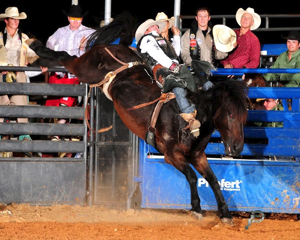 Real Deal, 2005 world champion bareback horse, with Steven Dent at the Waller County Fair and Rodeo in 2013. Photo by James Phifer