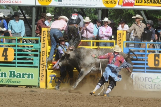 Dodging Bulls and Living the Rodeo Dream