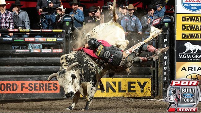 Air Time has an average bull score of 45.63 in four outs this season. Photo: Andy Watson/BullStockMedia.com