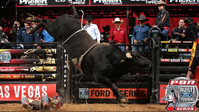 Stanley FatMax has yet to surrender a ride this season. Photo: Andy Watson/BullStockMedia.com