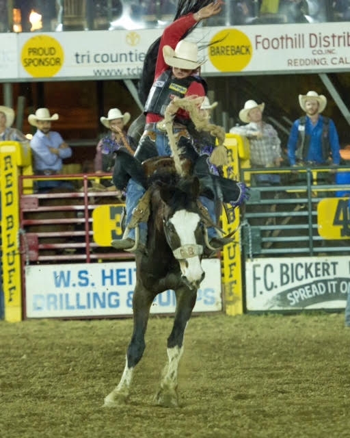 Rusty Wright, Milford, Utah, rides a saddle bronc during the first performance of the Red Bluff Round-Up. The Round-Up continues tomorrow, April 17, with its final performance.