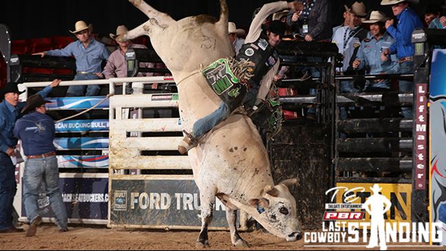 Big Cat is 7-0 this year in eight BFTS events. Photo: Andy Watson/BullStockMedia.com