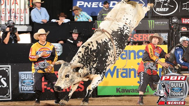 Air Time has remained undefeated this season in the BFTS. Photo: Andy Watson/BullStockMedia.com