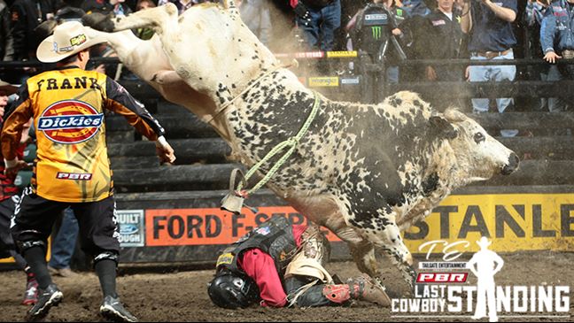 Air Time is undefeated in five outs this season and will be in the pen. Photo: Andy Watson/BullStockMedia.com
