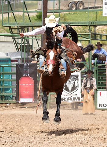 Saddle bronc rider Roper Kiesner matches moves with Pete Carr Pro Rodeo's Manhatten Moon for 83 points on Sunday (JAMES PHIFER PHOTO)
