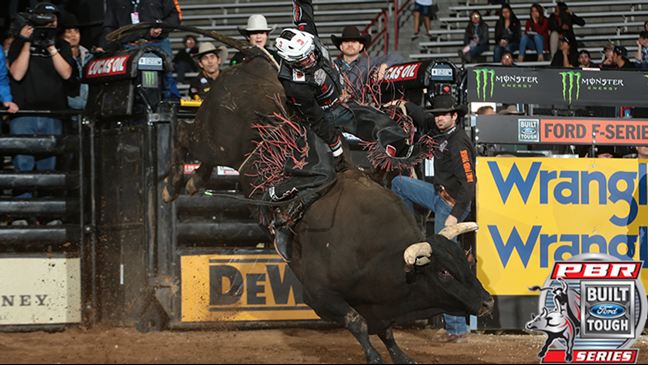 Cooper Davis' 91.5-point ride on Crossfire was a career-best for the Jasper, Texas, bull rider. Photo: Andy Watson/BullStockMedia.com