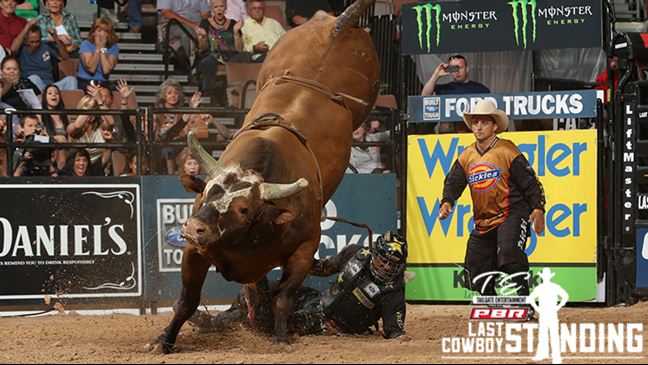 Bushwacker posted a bull score of 47 points or higher 17 times in his career. Photo: Andy Watson/BullStockMedia.com