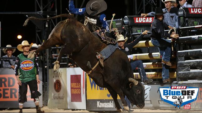 Asteroid's last out of the first half came against Eduardo Aparecido at Last Cowboy Standing. Asteroid bucked him off in 3.93 seconds. Photo: Andy Watson / BullStockMedia.com