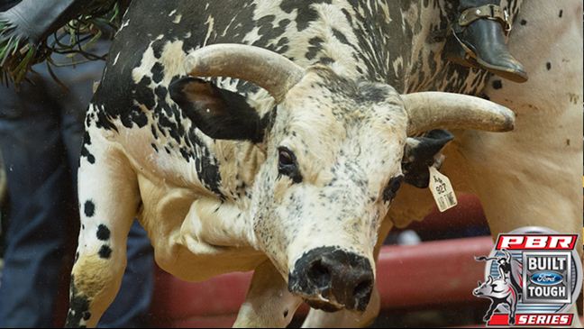 Air Time is looking to win his first world title this season. Photo by Christopher Thompson / BullStockMedia.com.
