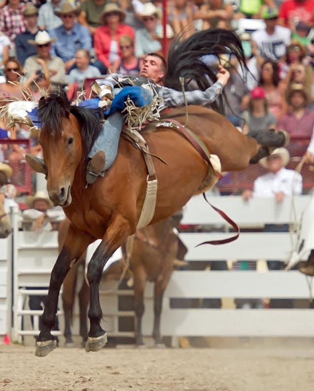 Orin Larsen, from Inglis, Manitoba, took the early lead in the bareback riding with this 87-point ride on Sankey Rodeo’s horse named Black Tie. -- CFD photo by Dan Hubbell.