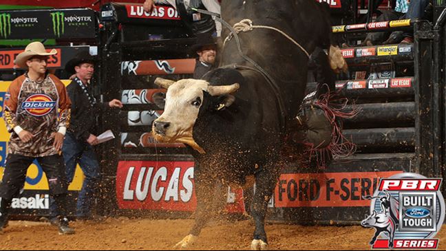 Pearl Harbor is 5-1 in the BFTS this season. Photo: Andy Watson / BullStockMedia.com