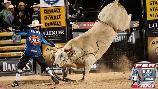Big Cat is currently 14-0 in BFTS competition. Photo: Andy Watson / BullStockMedia.com