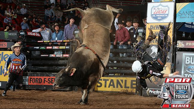 SweetPro's Bruiser has averaged a 45.14-point bull score over his three-year career. Photo: Andy Watson / BullStockMedia.com