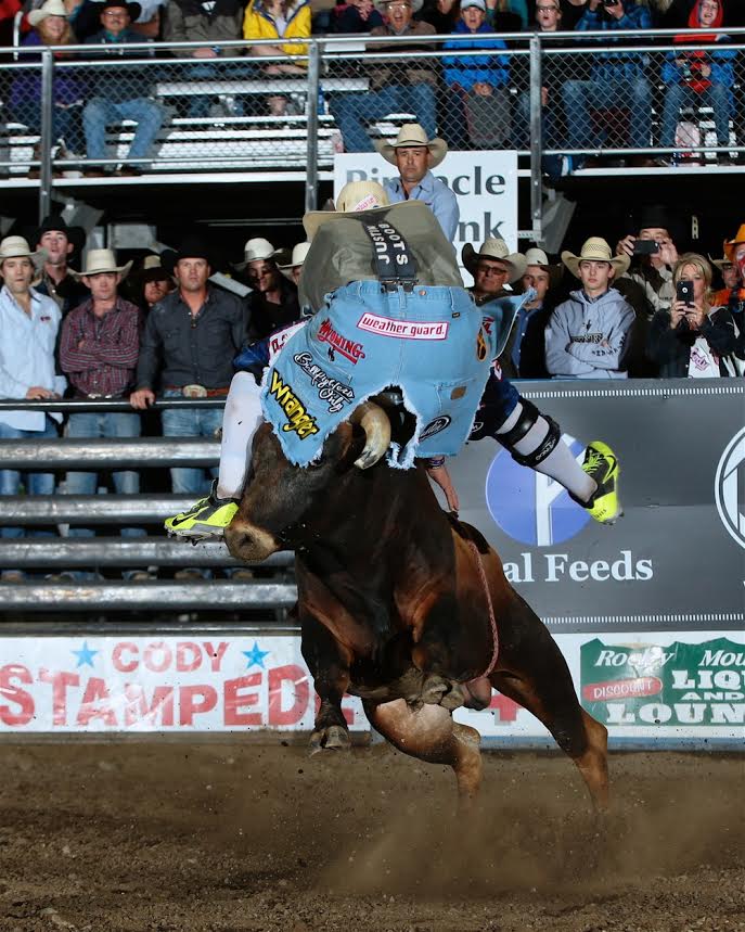 Dusty Tuckness won the first Bullfighters Only competition held after the Cody/Yellowstone Xtreme Bulls. Tuckness, from Meeteetse, Wyo., scored 91.5 points in this fight with the bull named Ecoli. Cody Stampede photo by Andy Watson