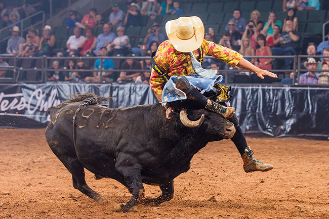 Zach Flatt attempts to jump a bull during a recent Bullfighters Only contest. Flatt will be one of the featured bullfighters that will be part of the BFO competition that takes place in conjunction with the Kit Carson County ProRodeo. (TODD BREWER PHOTO)