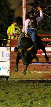 Oklahoma’s Mickey Andrews made the only qualified ride to win the first round of bull riding at Mandan Rodeo Days Photo by Jackie Jensen